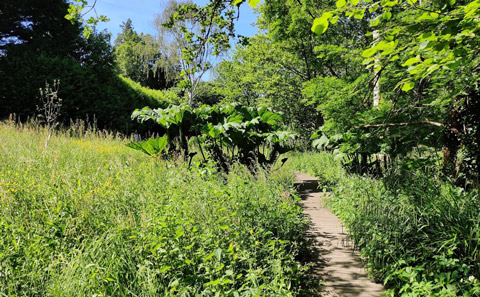 Read more about our Strategy - Sustainability