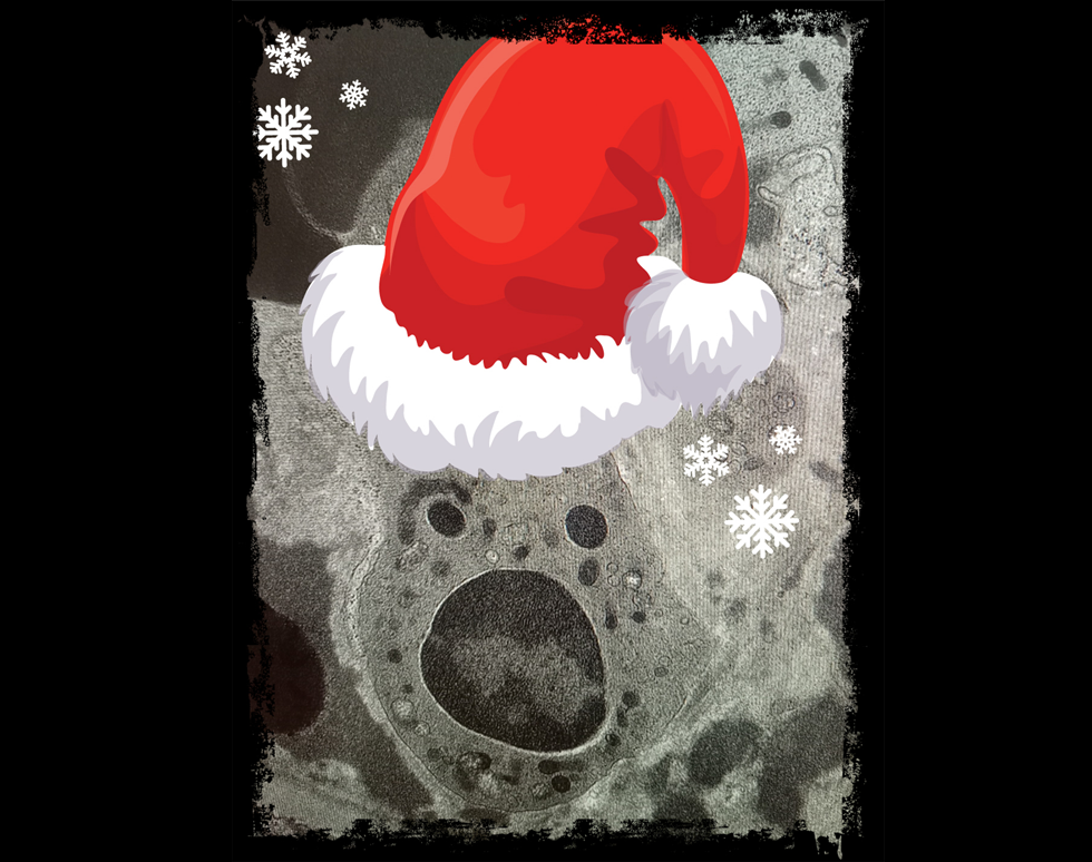 The Ghost of Christmas - Sirli Veetousme