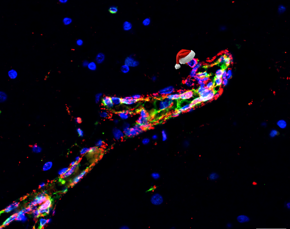 Santa s Sleigh - Emma Garland