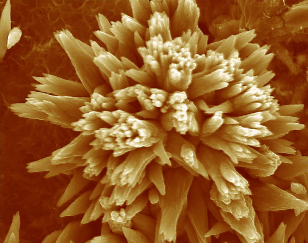 AragoniteCalcite flower - Madan Pal