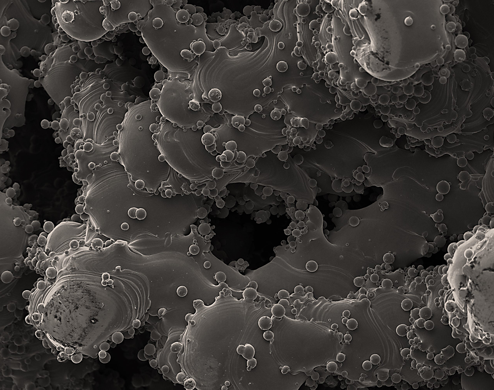 Titanium Scaffold - Jack Hurst