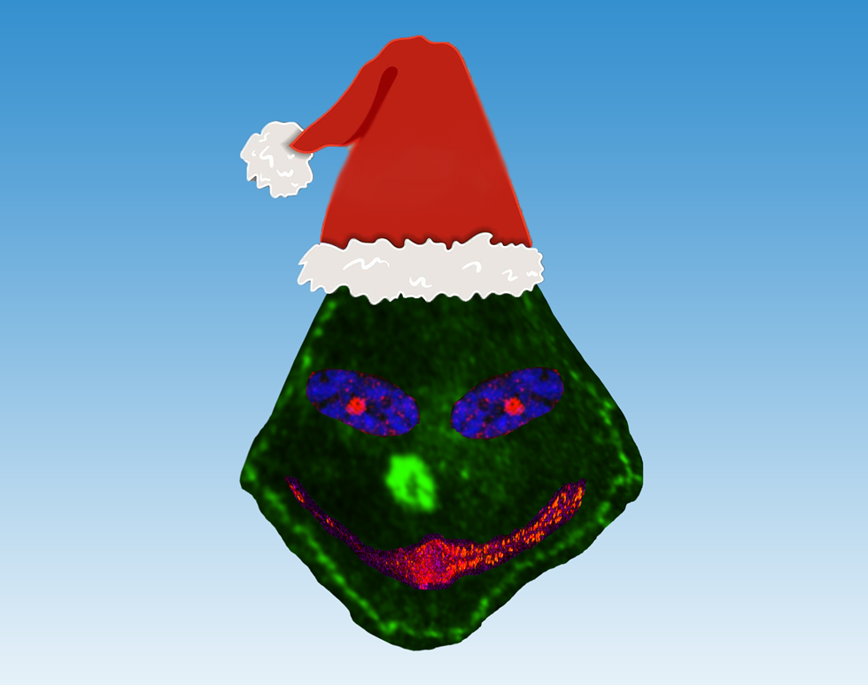 You are a mean one Mr Grinch - Rebecca Miller