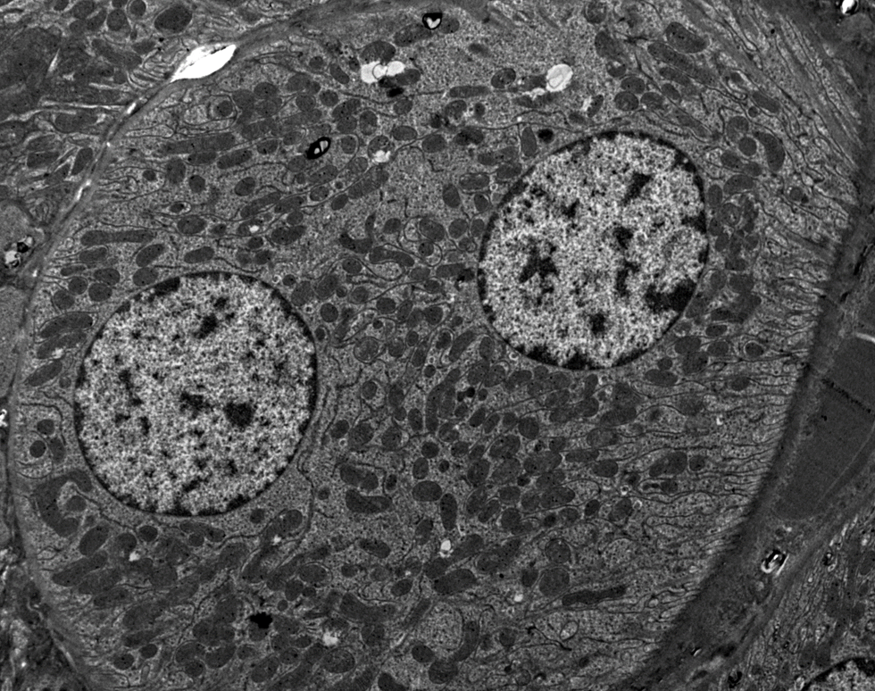 I see You - Mat Lawson