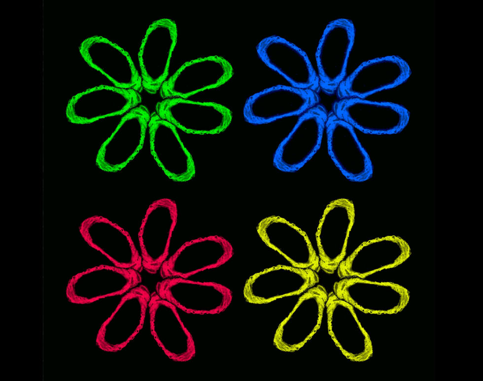 Flower Power - Jenny Dewing