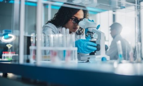 Image alt text placeholder