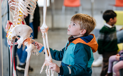 Image alt text placeholder