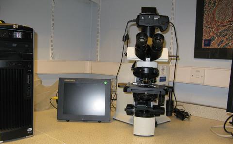 General Photomicroscopy