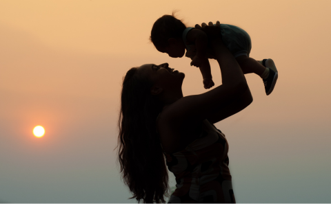 Environment Agency’s Standard Rules Consultation