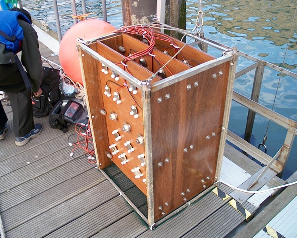 NOC seawater immersions