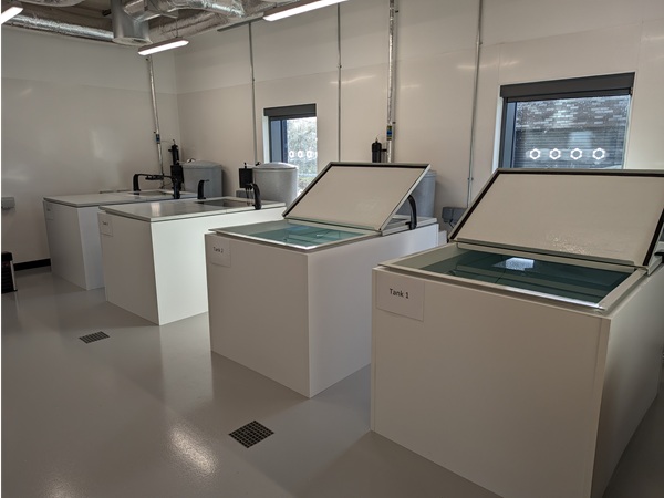 Four indoor fishtanks at Chilworth