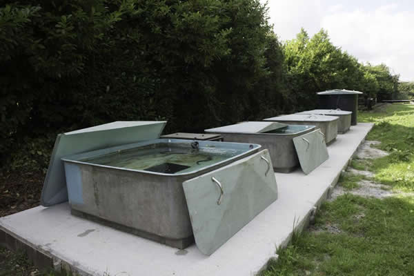 4  large outdoor fish holding tanks