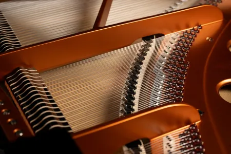 Close-up of the strings and frame inside a grand piano.