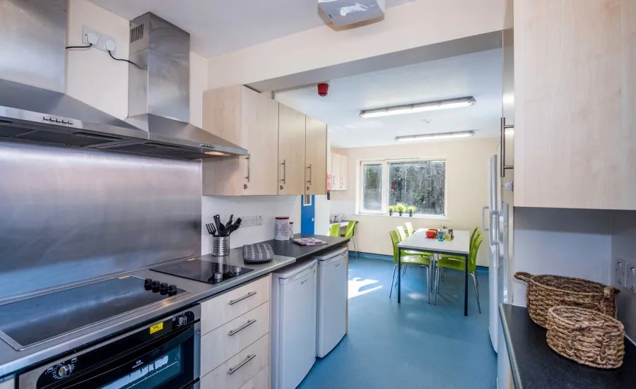 Empty modern communal kitchen.