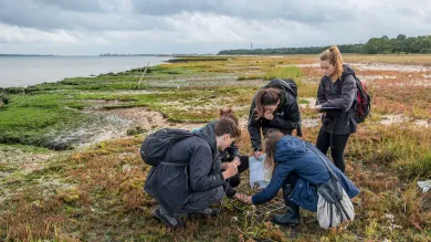 A group of students collect samples of plant life from a salt marsh on the banks of a large estuary.