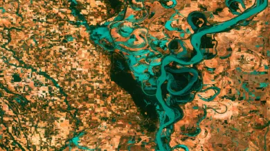 A satellite image of a river delta.