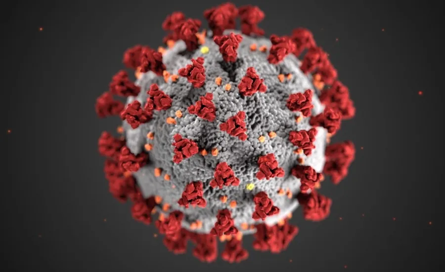 A simulated close-up image of the COVID-19 coronavirus.