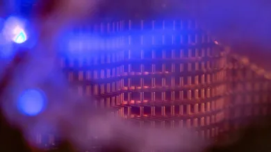 Microscopic_image_of _fabric