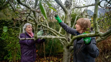 Older people interacting outside