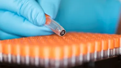 Bar coded DNA sample 