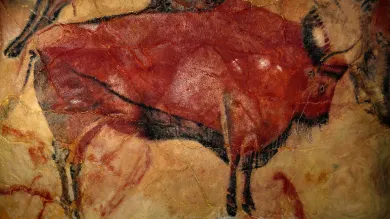 Bison painting at Altamira cave