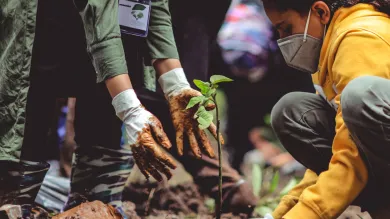 Pexels image of a young person learning how to plant a tree in a forest