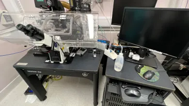 Deltavision Elite live imaging system