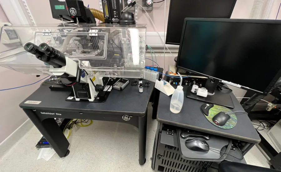 Deltavision Elite live imaging system