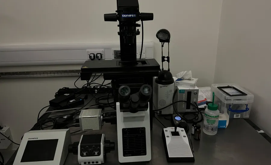 Fluorescence system