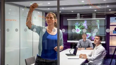Interdisciplinary researchers working together in the field of Maths and Medicine