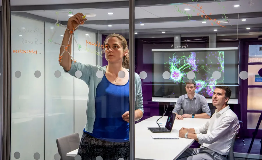 Interdisciplinary researchers working together in the field of Maths and Medicine