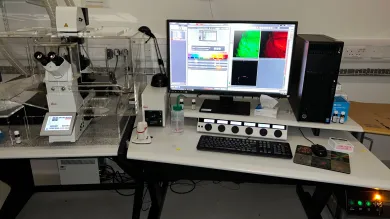 SP8 Confocal