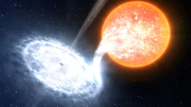 A black hole transient accreting matter from a neighbouring star