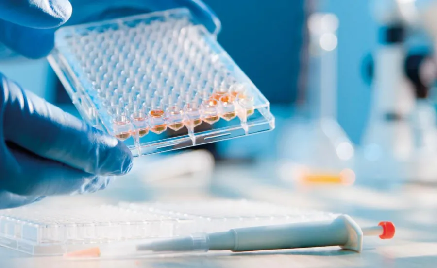 Syringe and petri dish used to analyse samples