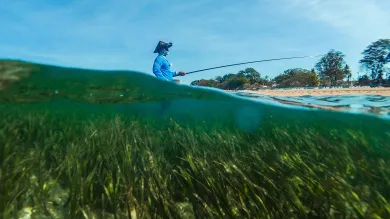 A person with a fishing line standing in the sea with lots of sea kelp 