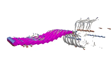 A flat plate with egg-carton roughness swimming with realistic fish kinematics