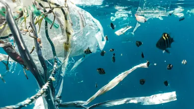 Plastic pollution in the sea by Naja Bertolt Jensenon