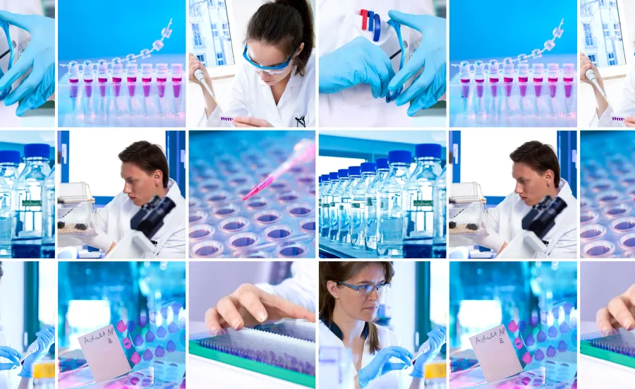 Collage of six photos highlighting various activities within a laboratory setting, including scientists using pipettes, examining samples under a microscope, and handling laboratory bottles and multiwell plates