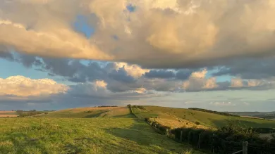A billowing cloud rolls over a grassy field in the evening sun,