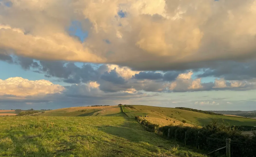 A billowing cloud rolls over a grassy field in the evening sun,