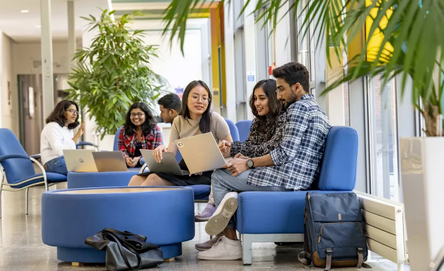 Two groups of students sitting on easy chairs, talking and looking at their laptops. 