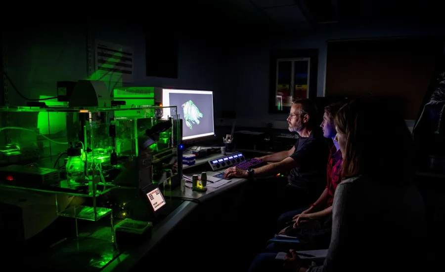 A group os scientists pour over the results of a confocal lightsheet microscopy image