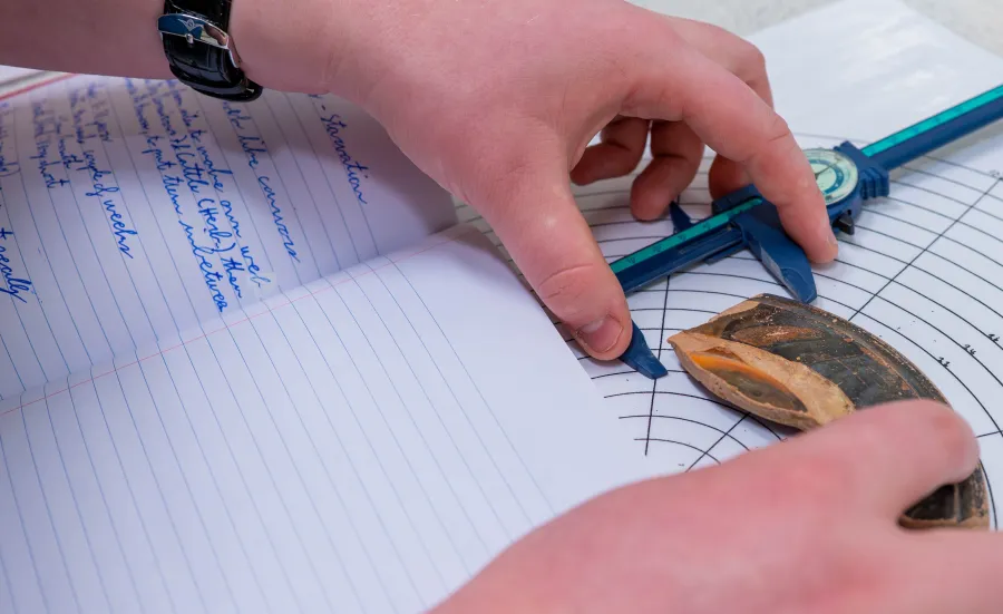 A piece of pottery on a circular measuring sheet is being measured with some callipers.