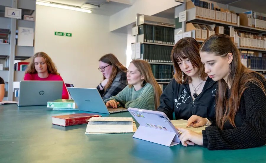 BA Modern History and Politics with Year Abroad students in the library