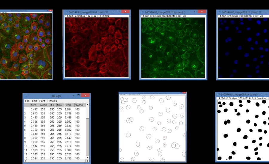 a conceptualization of the process of image analysis