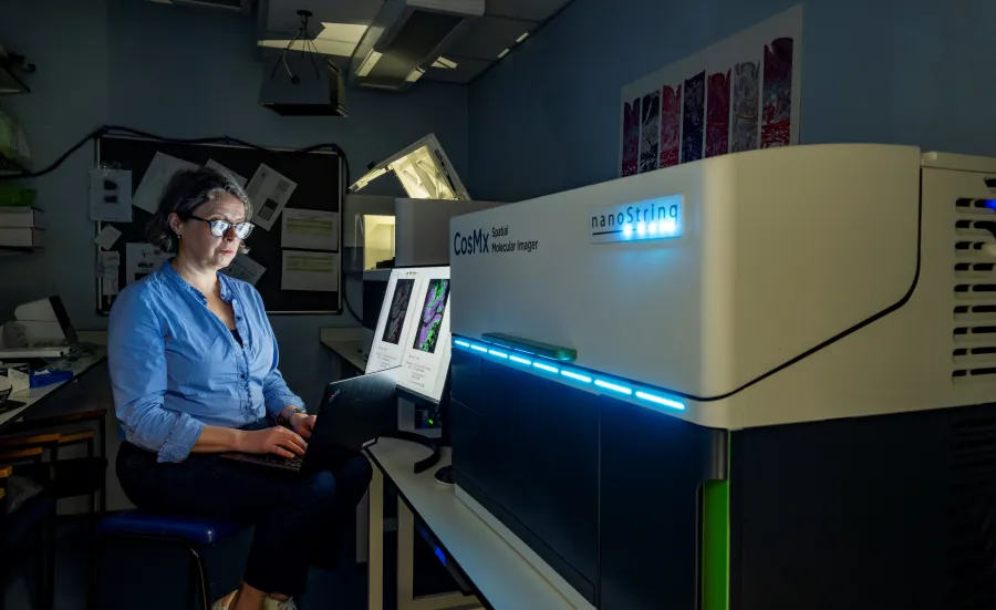 Patricia Goggin uses a high tech imaging device.