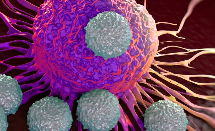 3D illustration of a cancer cell with smaller round cells surrounding it.