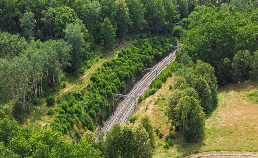 Curved railway tracks running through a green forest landscape on a sunny day.