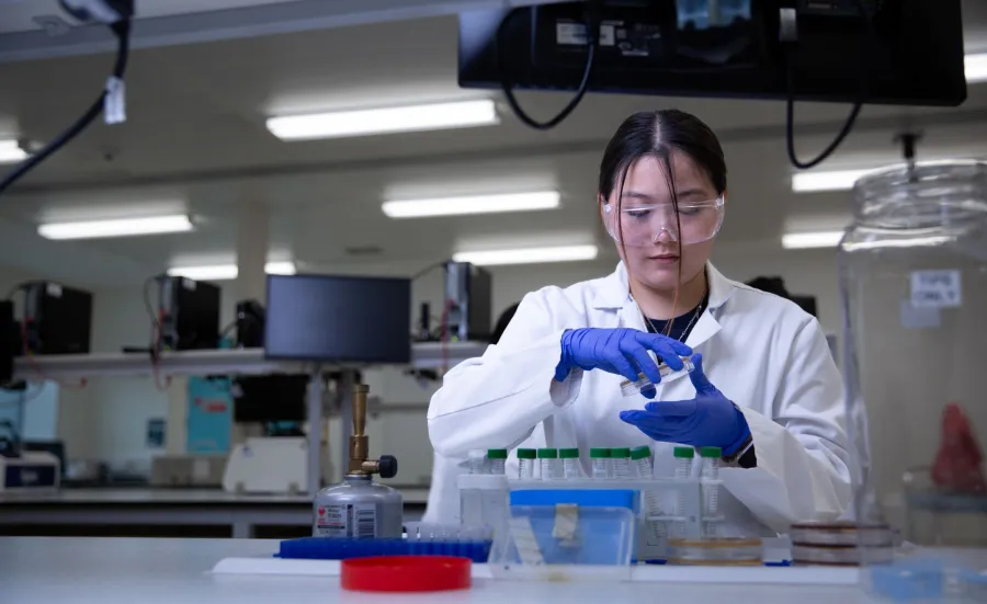 A microbiology student working in a lab. She's wearing safety equipment while holding a petri dish. There are test tubes on the table in front of her. 