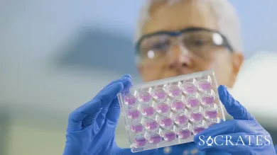 Dr Spalluto Examines organoids growing in pink fluid