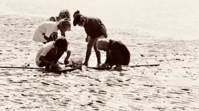 Children gathered around a bucket on a sandy beach at low tide.
